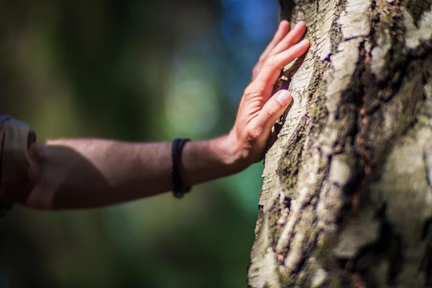 Foto die hand eines mannes berührt den baumstamm in der nähe rindenholzumweltpflege das ökologiekonzept der rettung der welt und der liebe der natur durch den menschen