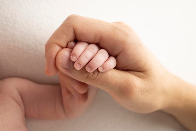 Die Hand eines schlafenden Neugeborenen in der Hand der Eltern, Mutter und Vater, Nahaufnahme Winzige Finger eines Neugeborenen Die Familie hält die Hände Studio-Makrofotografie Konzepte von Familie und Liebe