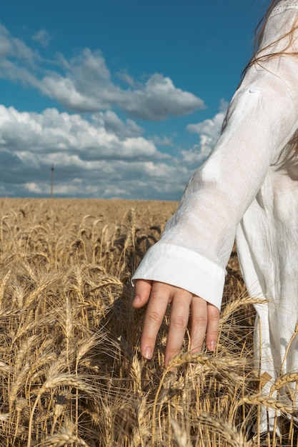 Die Hand eines ukrainischen Mädchens berührt mit ihrer Hand die Ähren vor dem Hintergrund eines Feldes Symbol der ukrainischen Freiheit Das Konzept der Fruchtbarkeit von Nahrung und Brot