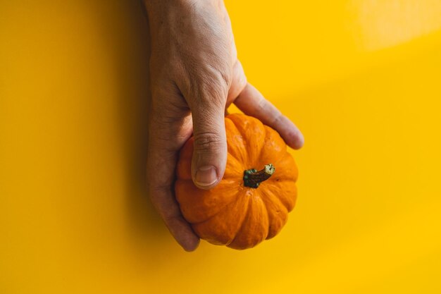 Foto die hand hält und gibt einen kleinen orangefarbenen kürbis auf gelbem hintergrund