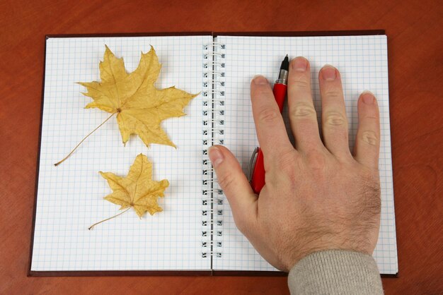 Die Hand mit rotem Stift liegt auf einem offenen Notizbuch