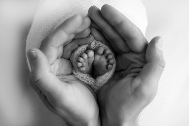 Die Handflächen der Eltern Ein Vater und eine Mutter halten ein Neugeborenes an den Beinen Die Füße eines Neugeborenen in den Händen der Eltern Foto von Fußabsätzen und Fingern Schwarz-Weiß-Studio-Makrofotografie