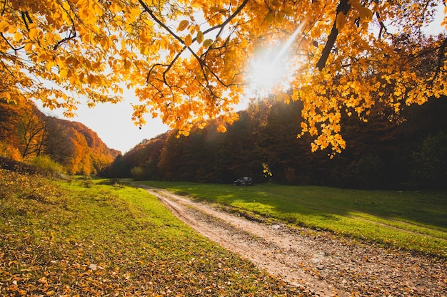 Die helle Sonne geht über dem Hügel im Herbstwald auf