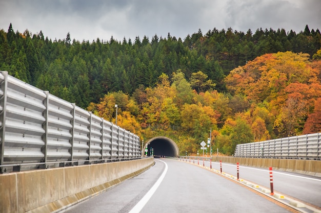 Die Herbstsaison und die Straße mit Kaverne im Herbst Japan.