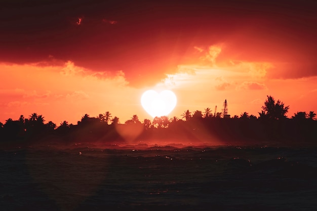 Die herzförmige Sonne geht hinter den Bäumen am Horizont unter. Das Konzept der ehemaligen Liebe, Abschied. Die Idee von Scheidung, Trennung und Zusammenbruch von Beziehungen. Symbol der Liebe. eine dunkle, traurige Atmosphäre.