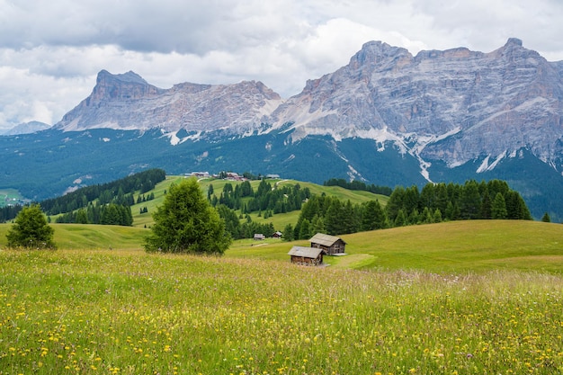 Die Hochebene von Pralongia im Herzen der Dolomiten, zwischen Corvara und St. Kassian