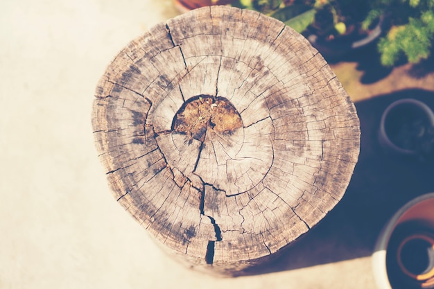 Die Holzbänke um die Stein- und Steinfeuergrube.