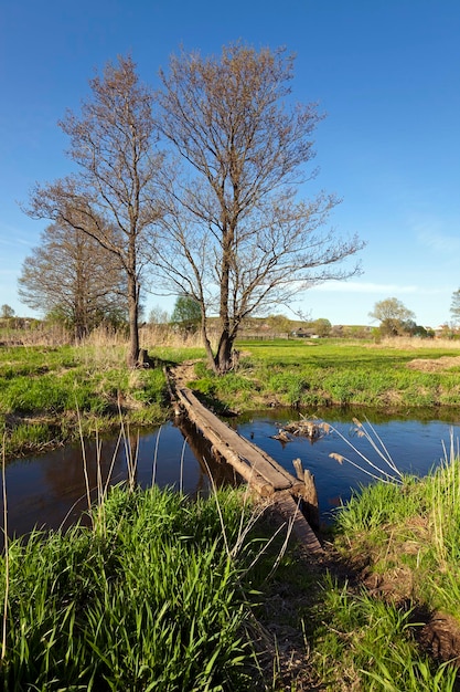 Die Holzbrücke