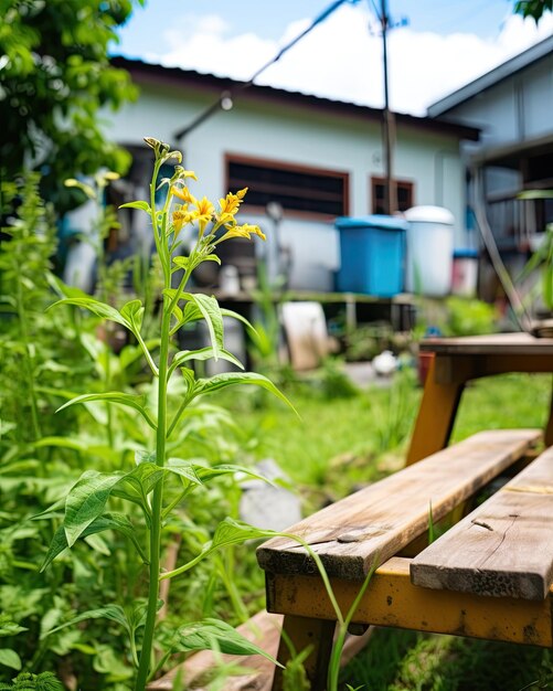 Die Holztischplatte ist leer mit einem generativen Gartenhintergrund
