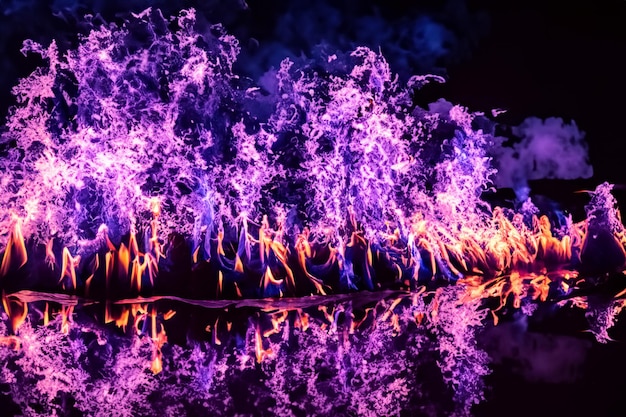 Die hypnotisierenden violetten Flammen tanzten anmutig vor dem pechschwarzen Hintergrund