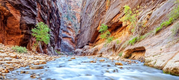 Die ikonische Biegung des Virgin River im Zion National Park