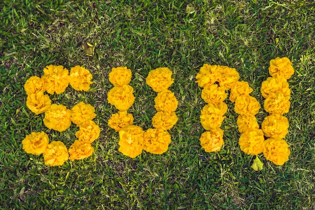 Die Inschrift der Sonne auf dem Gras mit Hilfe von gelben Blumen