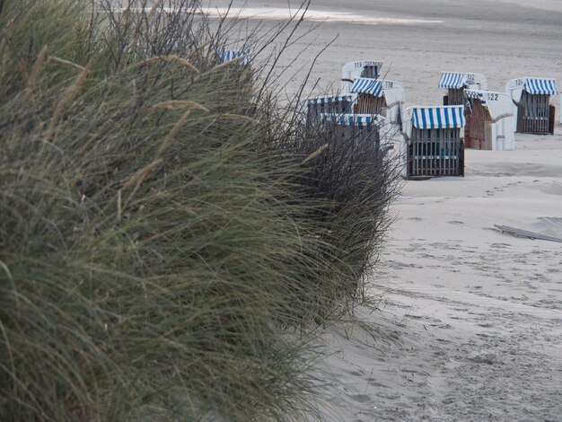 Foto die insel spiekeroog