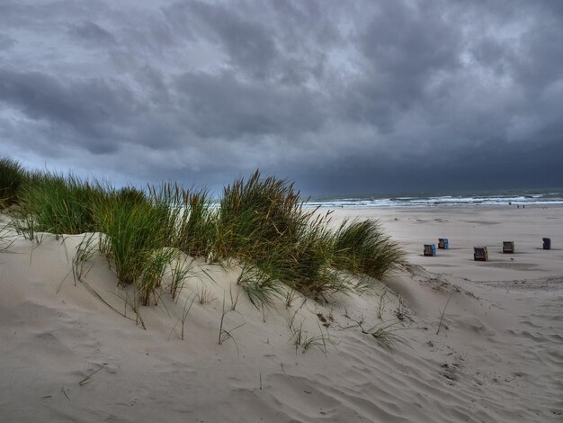 Foto die insel von juist