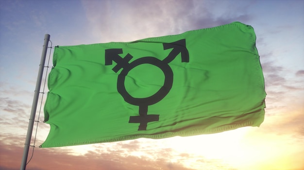 Die israelische Transgender-Stolz-Flagge weht im Wind-, Himmels- und Sonnenhintergrund. 3D-Rendering