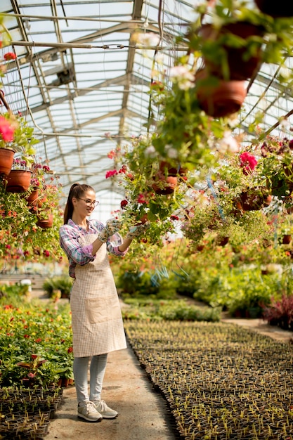 Die junge Frau, die mit Frühling arbeitet, blüht im Gewächshaus