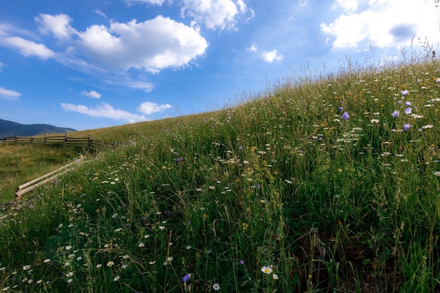 Die Karpaten im Sommer