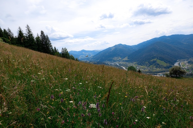 Die Karpaten im Sommer