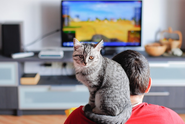 Die Katze sitzt auf der Schulter eines Mannes mit einem großen Fernseher hinter ihm