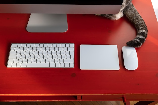 Foto die katze versteckte sich hinter dem computer, nur ihr schwanz ist auf dem desktop sichtbar, wo die tastatur, das touchpad und die maus vorhanden sind