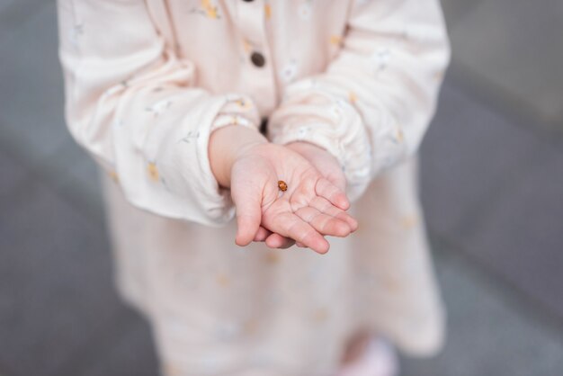 Die Kinderhände halten einen Marienkäfer Umweltschutzkonzept