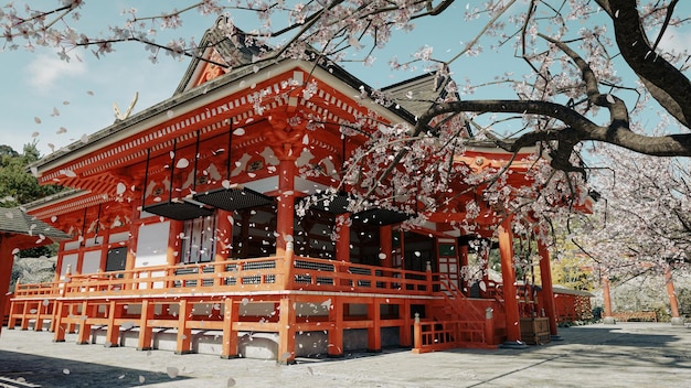 Die Kirschblüten blühen im Shinto-Schrein gegen die 3D-Darstellung der Frühlingssonne