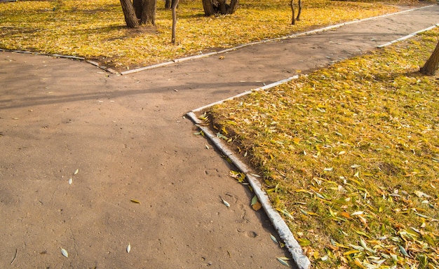 Die Kreuzung der Wege in der Stadt Herbst Park Herbst