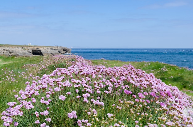 Die Küste der Insel von Portland