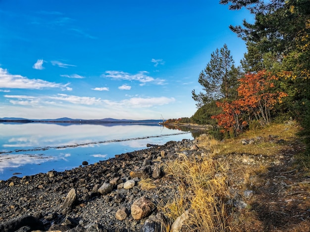 Die Küste des Weißen Meeres mit Bäumen im Vordergrund und Steinen im Wasser an einem sonnigen Tag Karelien