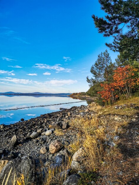 Die Küste des Weißen Meeres mit Bäumen im Vordergrund und Steinen im Wasser an einem sonnigen Tag Karelien