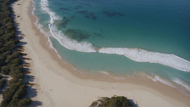 Die Landschaft am Strand auf einer Luftaufnahme