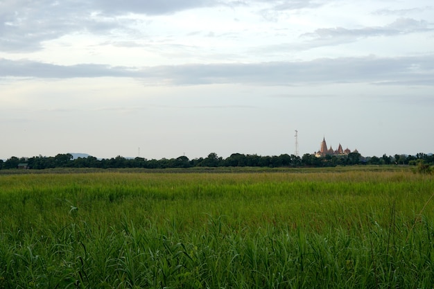 Die Landschaft der Wiese und Tiger Cave Tempel Wat Tham Sua in Kanchanaburi Thailand