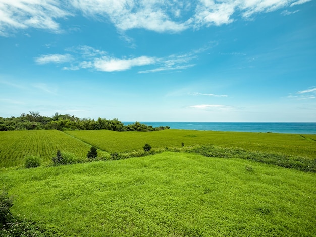 Die Landschaft der Wiesen und Küsten