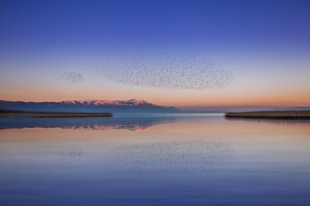 Die Landschaft des schneebedeckten Bergsees bei Sonnenuntergang mit einem fliegenden Vogelschwarm in Nordmazedonien