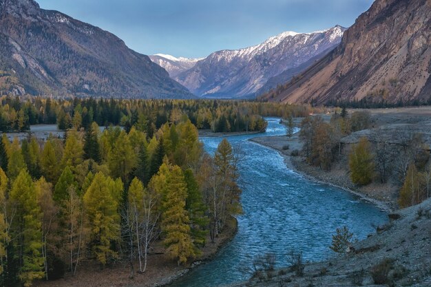 Die Landschaft mit dem großen sibirischen Fluss Katun, im Altai-Gebirge, im Herbst, Sibirien, Altai-Gebirgsrepublik, Russland.