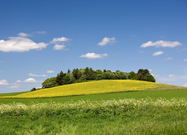 Foto die landschaft schönen blauen himmel und gras. die landschaft schönen blauen himmel und gras