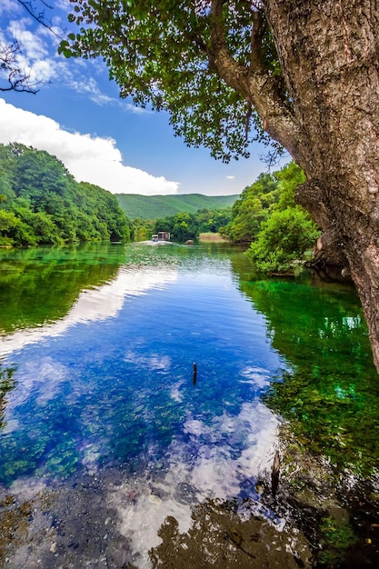 Die Landschaftsansicht des Sees im grünen Wald Freunde im Sommerurlaub