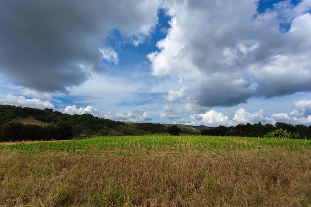 Die landwirtschaftliche Fläche auf dem Plateau