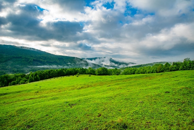 Die Lichtung ist mit Gras in der Nähe von Bäumen vor dem Hintergrund des Morgennebels in den Bergen Berglandschaft im Hintergrund bedeckt