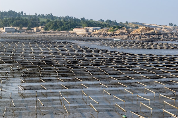 Die Linien und Texturen des Holzrahmens und des Seils auf der Laver Farm sind an bewölkten Tagen am Strand