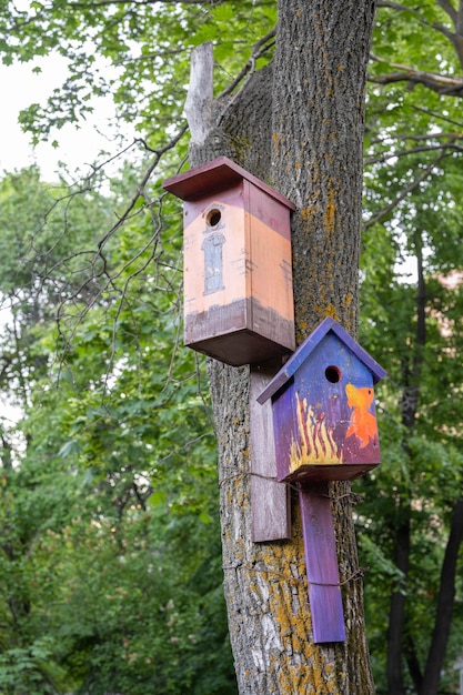 Die lustig bemalten Vogelhäuschen am Baum Handgefertigter Nistkasten aus Holz