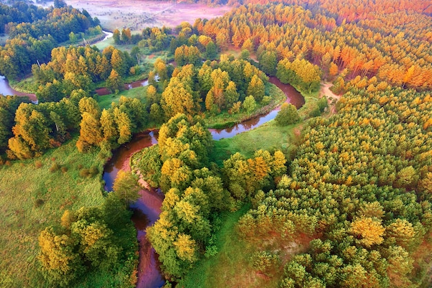 Die mäandernde Flusswaldansicht von einer Höhe