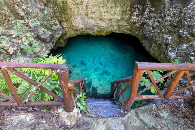 Die malerische Cenote Casa Tortuga in der Nähe von Tulum und Playa Del Carmen, eine beliebte Touristenattraktion für den lokalen und internationalen Tourismus