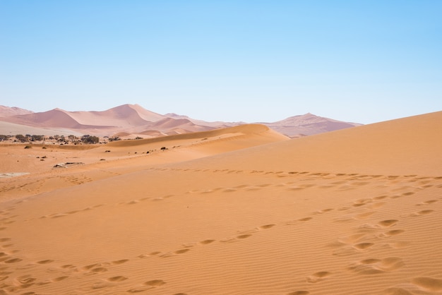 Die malerische Sossusvlei und Deadvlei, Ton- und Salzpfanne, umgeben von majestätischen Sanddünen.