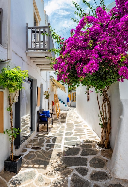 Die malerische Stadtstraße Naousa auf der griechischen Insel Paros