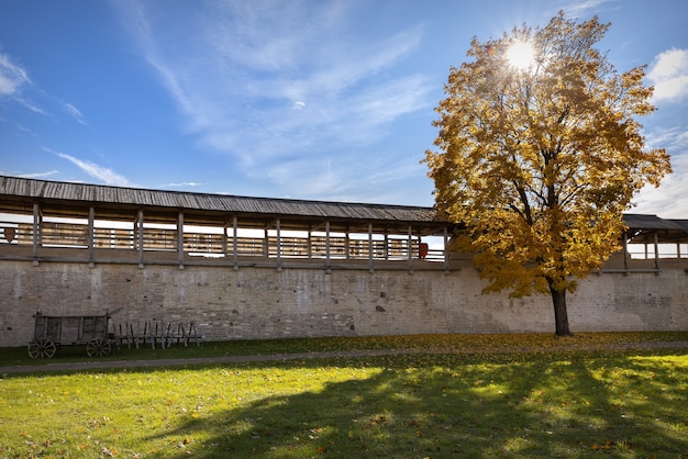 Die Mauern einer mittelalterlichen Festung in Izborsk im Herbst. Holzkarren stehen in der Nähe der Mauern der Festung. Ein Baum mit fallenden gelben Blättern