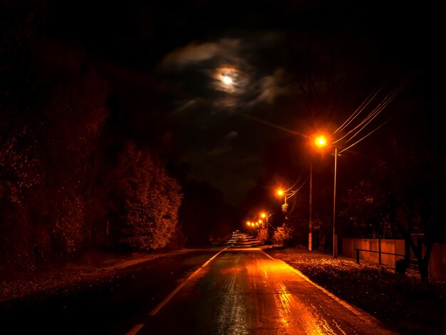 Die nächtliche Landstraße wird von elektrischen Lampen beleuchtet