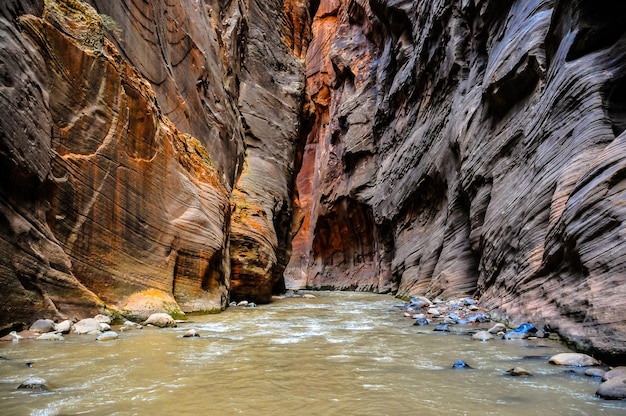 Die Narrows im Zion Nationalpark