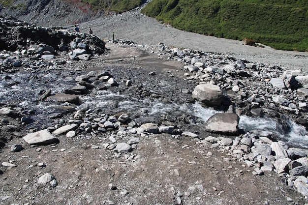 Die Natur des Fox-Gletschers in Neuseeland