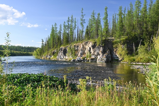 Die Natur des subpolaren Urals